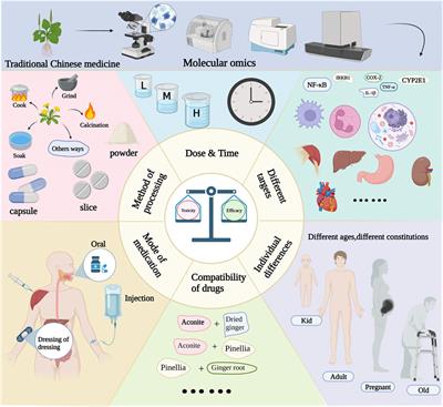 Deciphering the toxicity-effect relationship and action patterns of traditional Chinese medicines from a smart data perspective: a comprehensive review